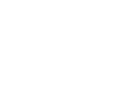 BlueGo Solutions